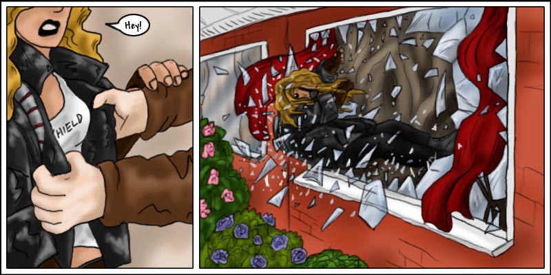 doomshield thrown through a window